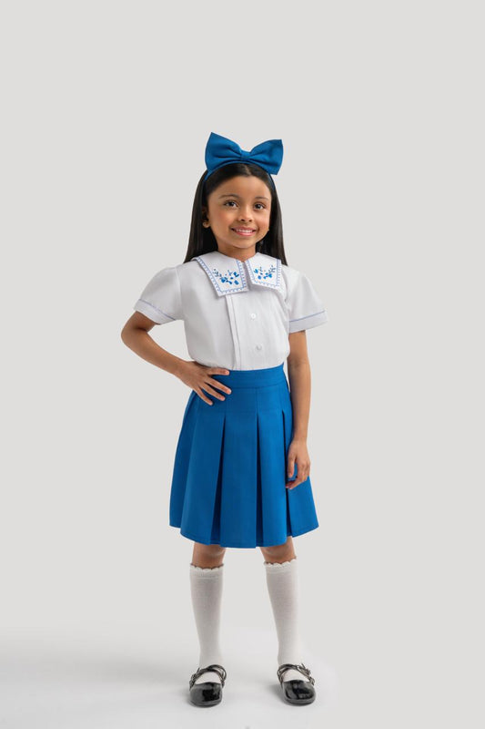 Shirt And Skirt