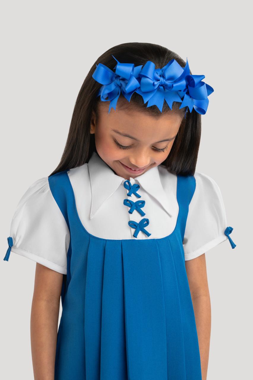 3  bow model